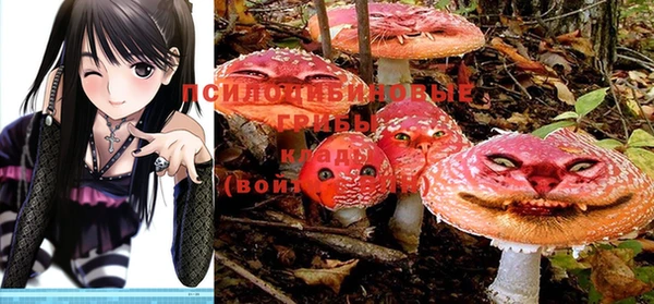 марихуана Заводоуковск