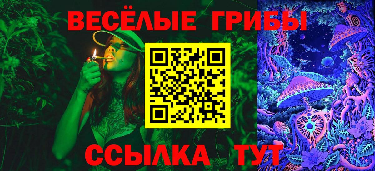 Галлюциногенные грибы GOLDEN TEACHER Калач-на-Дону