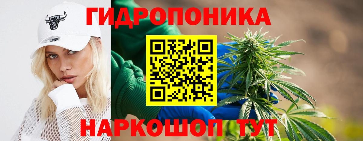 Конопля конопля  Марихуана планчик  Вход с VPN  Калач-на-Дону 